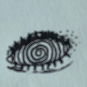 Meet your Posher, Skylar